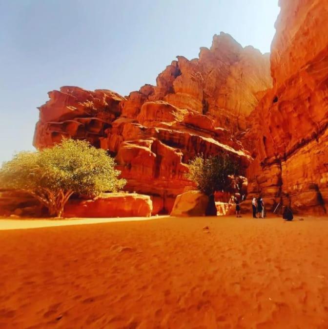 Апартаменты Saleem With Jeep Tour Вади-Рам Экстерьер фото
